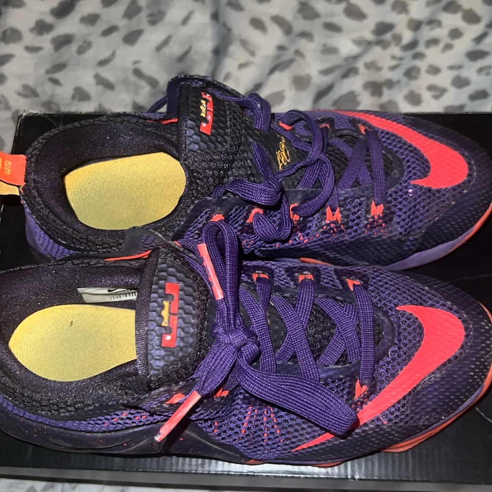 LeBron 6.6y. Purple. 7/10 condition. Used for basketball